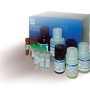 QuantiFluo™ Urokinase Inhibitor Screening Assay Kit