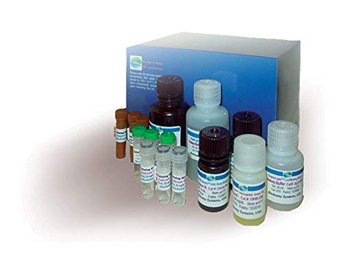 QuantiFluo™ Urokinase Assay Kit