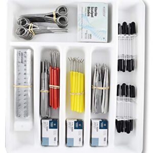 540 PCS DR Instruments DRCLS20 - Classroom Dissection Kit for 20/40 Students, Stainless Steel Instruments & Slotted Tray.