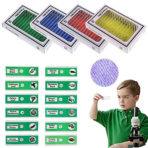 Jiusion 48Pcs Prepared Microscope Slides Specimen Animals Insects Plants Flowers Sample Biological Specimen, Stereo Microscope Slide for Kids Children Students Enlighten Education