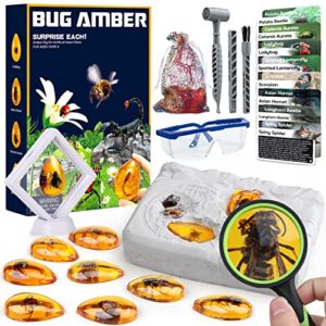 amber dig kit – insects in resin, 8 insects specimens excavation kit, geographic bug toys for kids, educational science kits for bugs collection, stem toys for boys & girls age 6 and up birthday gift