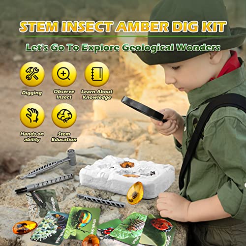 Amber Dig Kit - Insects in Resin, 8 Insects Specimens Excavation Kit, Geographic Bug Toys for Kids, Educational Science Kits for Bugs Collection, STEM Toys for Boys & Girls Age 6 and up Birthday Gift