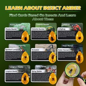 Amber Dig Kit - Insects in Resin, 8 Insects Specimens Excavation Kit, Geographic Bug Toys for Kids, Educational Science Kits for Bugs Collection, STEM Toys for Boys & Girls Age 6 and up Birthday Gift