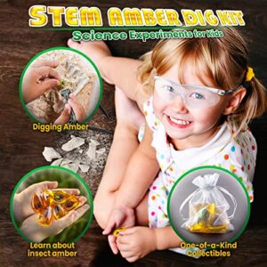 Amber Dig Kit-Artificial Insect Resin, Excavate 6 Insects Specimens, STEM Geographic Educational Bugs Toys, Excavation Toys Science Kit for Fun Bugs Party Favors, Bug Collection Kit for Kids Age 6+