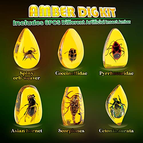 Amber Dig Kit-Artificial Insect Resin, Excavate 6 Insects Specimens, STEM Geographic Educational Bugs Toys, Excavation Toys Science Kit for Fun Bugs Party Favors, Bug Collection Kit for Kids Age 6+