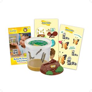 insect lore cup of caterpillars – butterfly kit refill – life science & stem education
