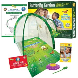 insect lore – butterfly growing kit – clear front facing viewing panel – pre-paid voucher to redeem caterpillars later – life science & stem education – butterfly science kit