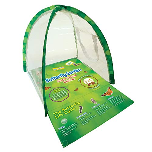 Insect Lore - Butterfly Growing Kit - Clear Front Facing Viewing Panel - Pre-Paid Voucher to Redeem Caterpillars Later – Life Science & STEM Education – Butterfly Science Kit
