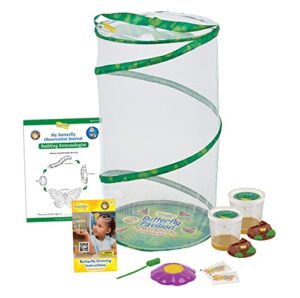 insect lore butterfly pavilion: pavilion habitat and two live cups of caterpillars with stem butterfly journal – life science & stem education – butterfly kit