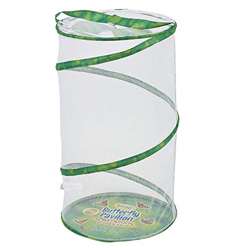 Insect Lore Butterfly Pavilion: Pavilion Habitat and Two Live Cups of Caterpillars with STEM Butterfly Journal – Life Science & STEM Education – Butterfly Kit