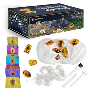 amber dig kit – excavate 9 insects specimens, geology science stem educational bugs toys for 6 7 8 9 10 11 12 years old boys girls, gifts for easter christmas birthday halloween