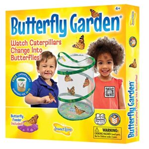 insect lore – butterfly growing kit – with voucher to redeem caterpillars later