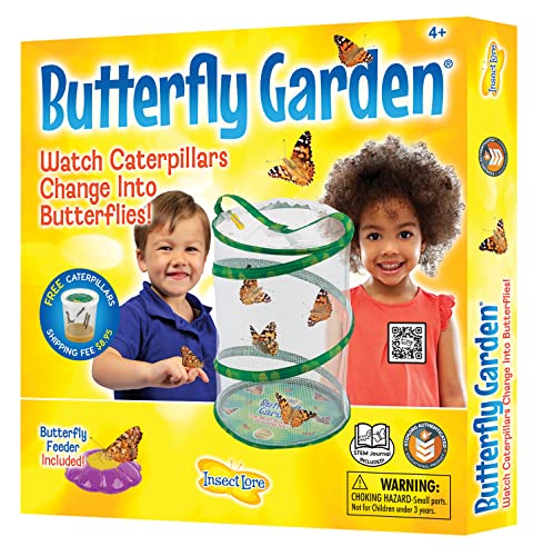 Insect Lore - Butterfly Growing Kit - With Voucher to Redeem Caterpillars Later