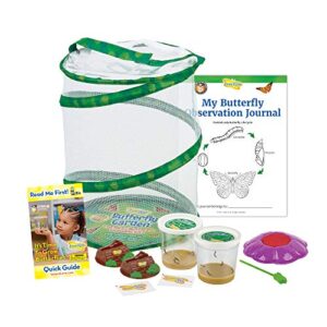 butterfly garden: original habitat and two live cups of caterpillars with stem butterfly journal – life science & stem education – butterfly science kit