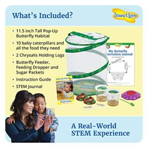 Butterfly Garden: Original Habitat and Two Live Cups of Caterpillars with STEM Butterfly Journal – Life Science & STEM Education – Butterfly Science Kit