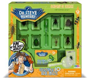 dr. steve hunters – bugs world collection – 10 real insects – scientific educational toy