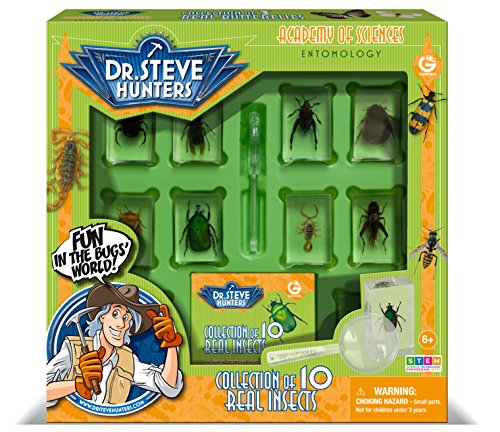 Dr. Steve Hunters - Bugs World Collection - 10 REAL insects - Scientific Educational Toy