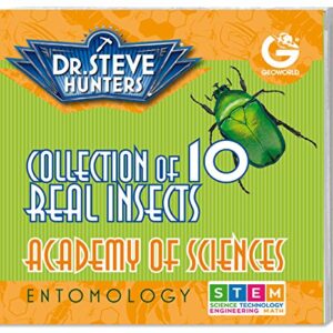 Dr. Steve Hunters - Bugs World Collection - 10 REAL insects - Scientific Educational Toy