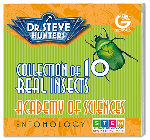 Dr. Steve Hunters - Bugs World Collection - 10 REAL insects - Scientific Educational Toy