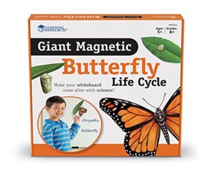 learning resources butterfly life cycle, 9 write and wipe pieces, classroom accessories, teaching aids, ages 5+