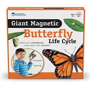 Learning Resources Butterfly Life Cycle, 9 Write and Wipe Pieces, Classroom Accessories, Teaching Aids, Ages 5+