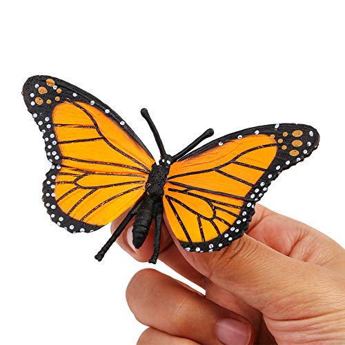 UANDME 4pcs Butterfly Life Cycle Kit Lifestyle Stages of Monarch Butterfly Teaching Tools for Kids, Students