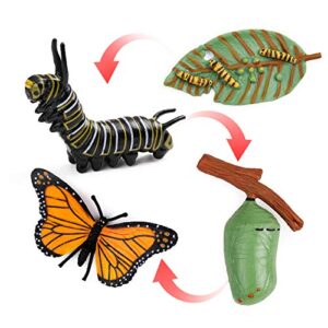 uandme 4pcs butterfly life cycle kit lifestyle stages of monarch butterfly teaching tools for kids, students