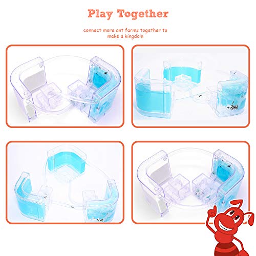 NAVADEAL Ant Farm Castle 2.0 with Connecting Tube, Ant Habitat Science Learning Kit, Best STEM 2021 Educational Kids Toy, Study Insect Behavior at Home & School, Plant Based Blue Gel 3D Maze Ecosystem