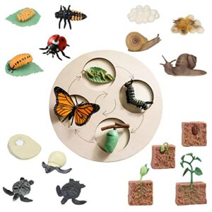 21 pcs life cycle figurines of butterfly ladybug snail turtle plant with wooden board, realistic animal growth cycle figures, education learning growth stage model biology science kit toy for kids