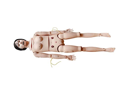 PreAsion Training Manikin Model Trauma Model Anatomical Human Model Demonstration Manikin Patient Care for Nursing Female-Male Wound Training Mannequin Patient Care Education Teaching 63’’Life-Size