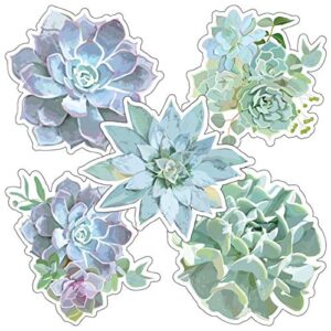 schoolgirl style simply stylish 36 piece botanical succulents bulletin board cutouts, succulent plant bulletin board decorations, greenery accents, classroom décor