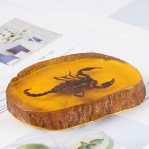 Garneck Amber Fossil Insect,Artificial Amber Insect Specimen Pendant Butterfly Scorpions Insects Amber Stone Ornament for Collection(Scorpion)