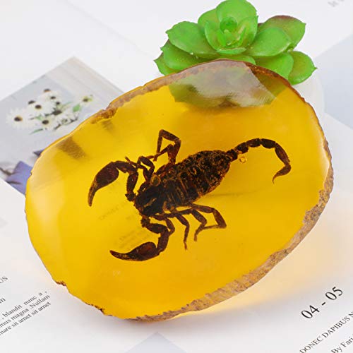 Garneck Amber Fossil Insect,Artificial Amber Insect Specimen Pendant Butterfly Scorpions Insects Amber Stone Ornament for Collection(Scorpion)