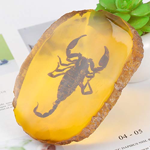 Garneck Amber Fossil Insect,Artificial Amber Insect Specimen Pendant Butterfly Scorpions Insects Amber Stone Ornament for Collection(Scorpion)