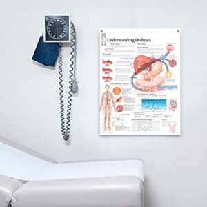 Understanding Diabetes Laminated Medical Educational Informational Poster Diagram Doctors Office School Classroom 22x28 Inches