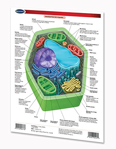 Cellular Anatomy Quick Reference Guide - Permacharts