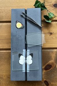 complete butterfly mounting kit plus spreading board