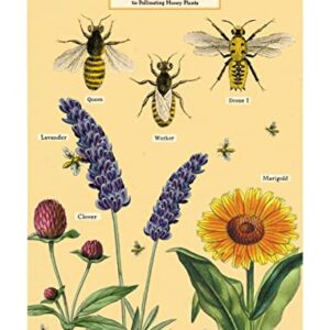 Bees & Honey Mini Notebooks