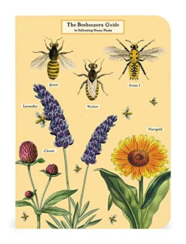 Bees & Honey Mini Notebooks