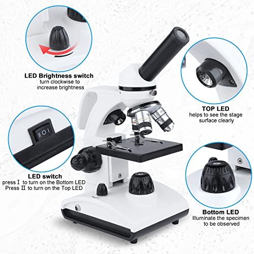 BNISE 100x-2000x Biological Microscopes, for Kids Students Adults, Microscope with Microscope Slides Set, Phone Adapter, Powerful Biological Microscopes for School Laboratory Home Science Education