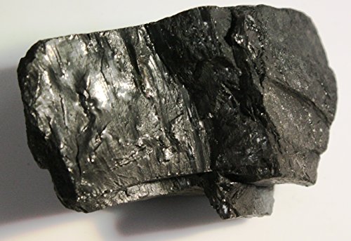 Black Anthracite Coal - 2 Raw Pieces of Rock