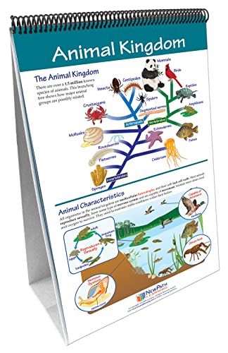 NewPath Learning Six Kingdoms Laminated, Double-Sided “Write-On/Wipe-Off” Flip Chart - Set of 10, 12" x 18" Charts (34-6729)