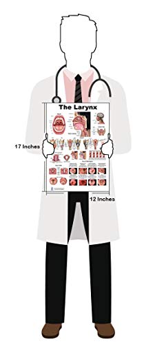 Larynx Poster, Voice, Education, Vocal Folds, Mouth, Head Cutview, Vocal Pathology, Size 12x17inch