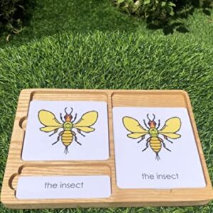 KIHACO Display Tray for Three Part Card Montessori