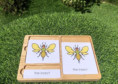 KIHACO Display Tray for Three Part Card Montessori