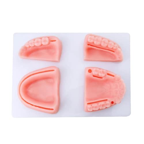 LSOAARRT Oral Suture Training Model Silicone Dental Suture Pad Kit for Hospital Students Vets Practicing Suturing and Implants on Soft Gum Teeth Pink