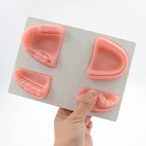 LSOAARRT Oral Suture Training Model Silicone Dental Suture Pad Kit for Hospital Students Vets Practicing Suturing and Implants on Soft Gum Teeth Pink