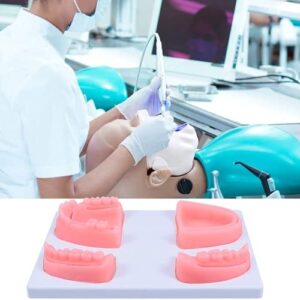 LSOAARRT Oral Suture Training Model Silicone Dental Suture Pad Kit for Hospital Students Vets Practicing Suturing and Implants on Soft Gum Teeth Pink