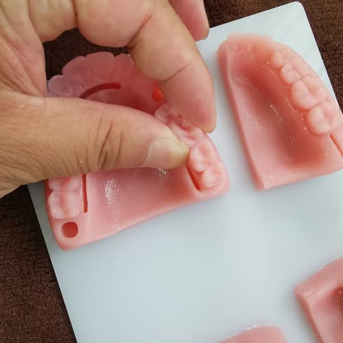 LSOAARRT Oral Suture Training Model Silicone Dental Suture Pad Kit for Hospital Students Vets Practicing Suturing and Implants on Soft Gum Teeth Pink