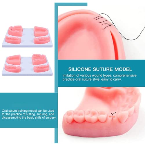 LSOAARRT Oral Suture Training Model Silicone Dental Suture Pad Kit for Hospital Students Vets Practicing Suturing and Implants on Soft Gum Teeth Pink